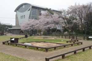 飛ノ台史跡公園博物館