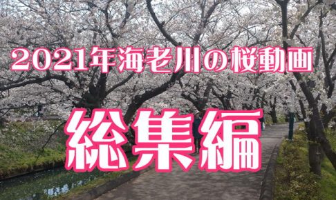 船橋市観光協会 イベント情報 観光スポットなど お役立ち情報を発信します 窓口受付時間 全日10 00 18 00