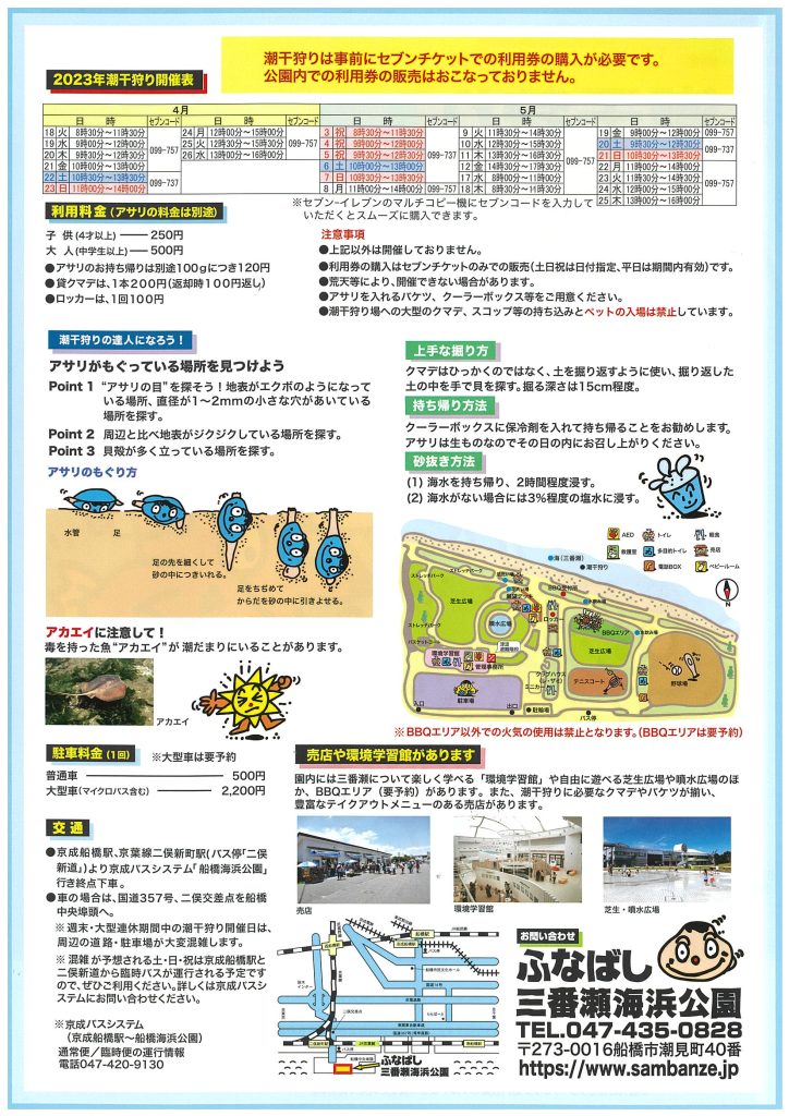 人気満点 ふなばし三番瀬海浜公園潮干狩り利用券５月６日 土 大人２枚