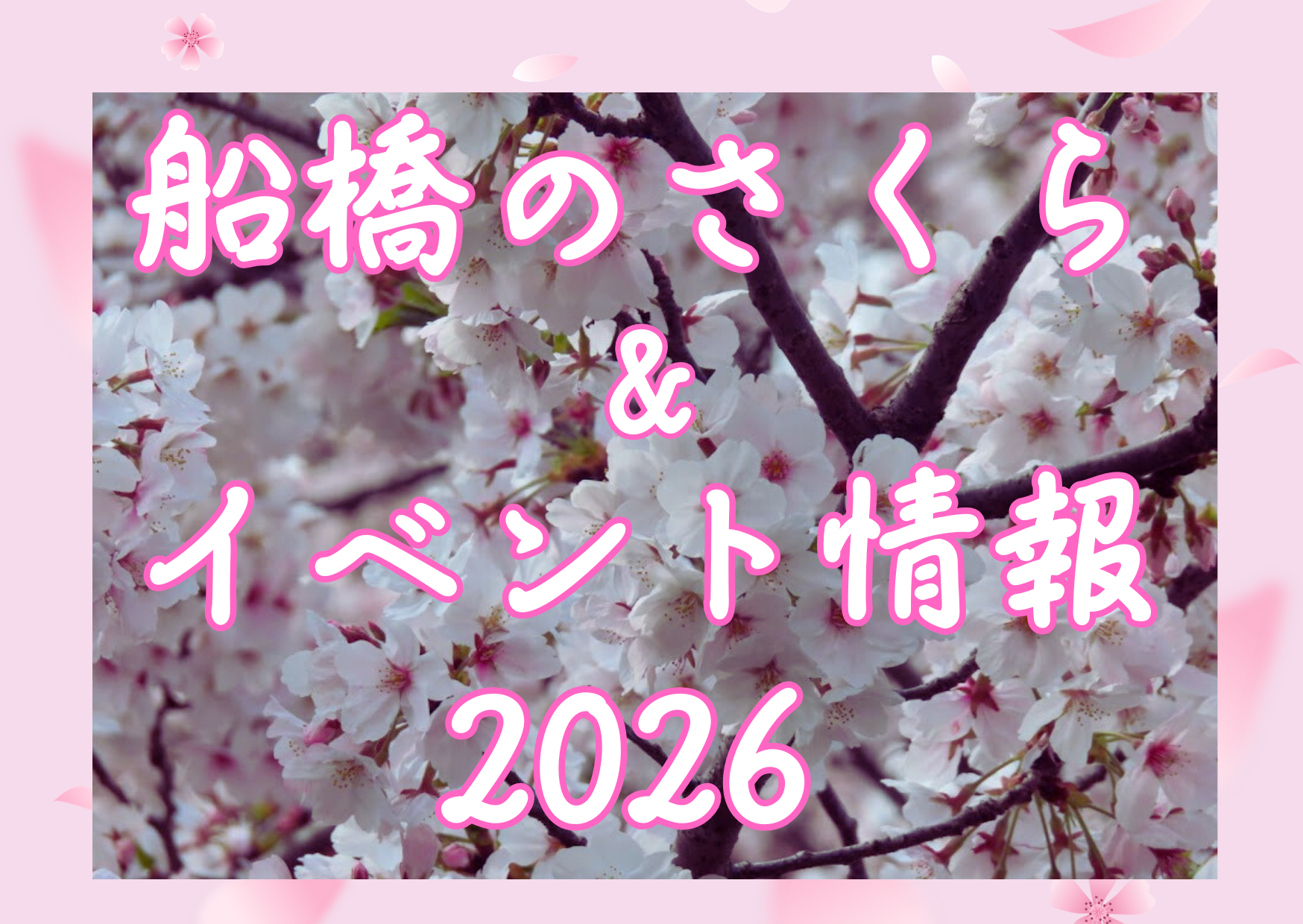 海老川ジョギングロード ライトアップ