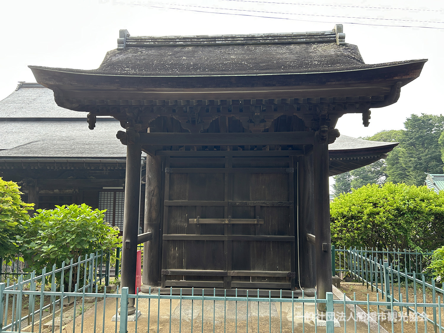 日蓮宗 経本 日蓮宗加行所再建落慶記念 妙法蓮華経要品 無かな 正中山