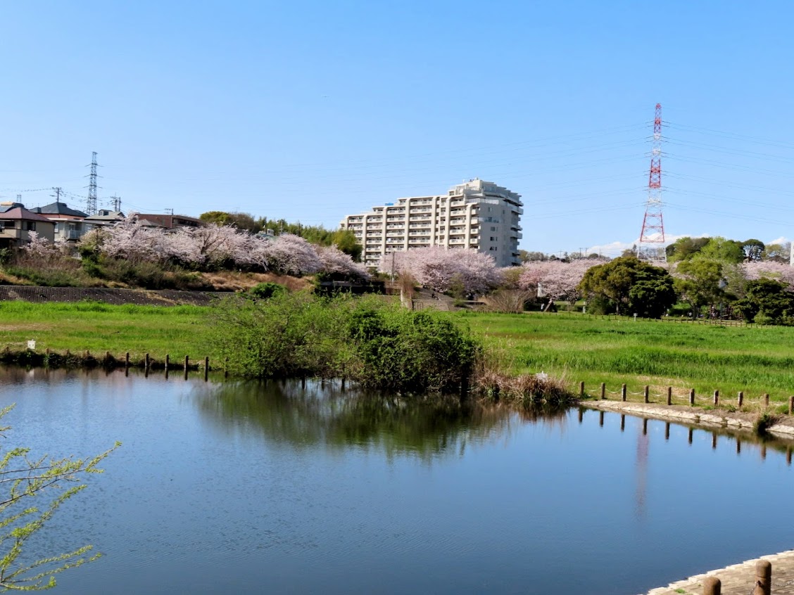 firenze外周河川 IMG_4887-EDIT.jpg